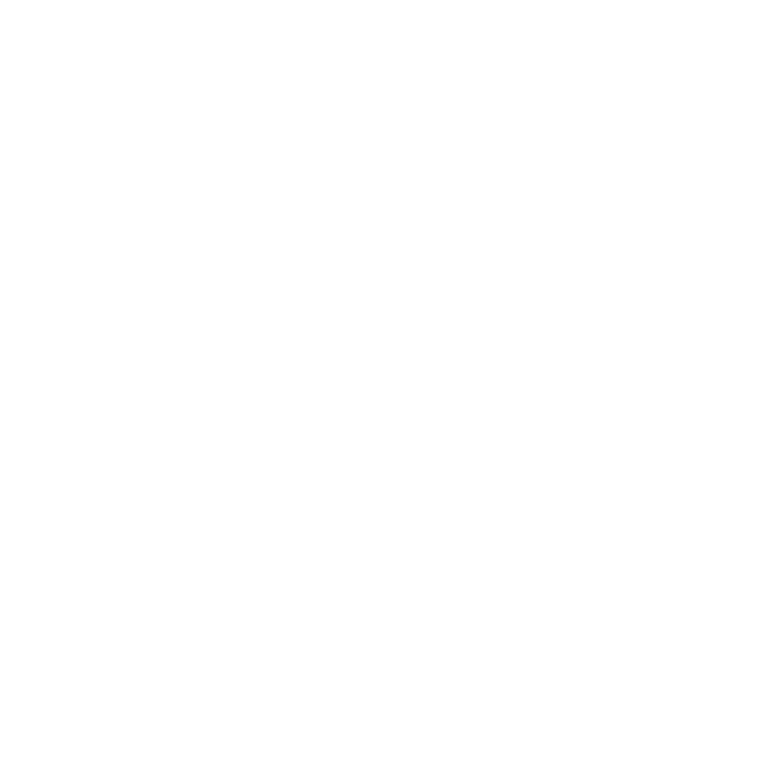 Sinatle Media